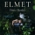 Elmet by Fiona Mozley (2017) – shortlisted for The Sunday Times / Peters Fraser + Dunlop Young Writer Of The Year Award, in association with The University of Warwick
